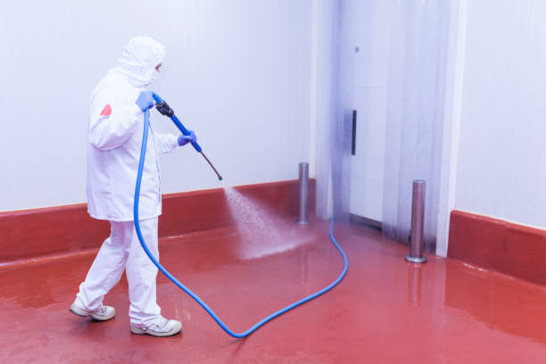 Paint Preparation in Chesterfield, MO